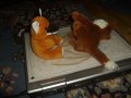 IMGP0762.JPG